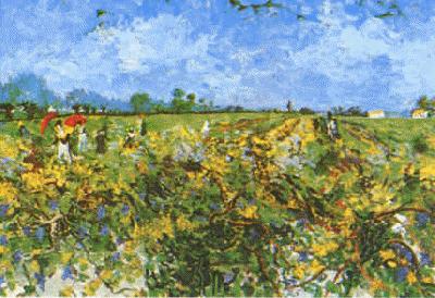 Vincent Van Gogh Green Vineyard Norge oil painting art